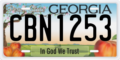 GA license plate CBN1253