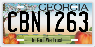 GA license plate CBN1263