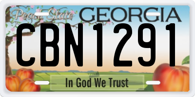 GA license plate CBN1291