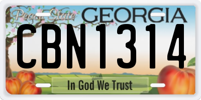 GA license plate CBN1314