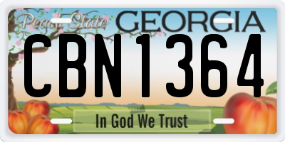GA license plate CBN1364