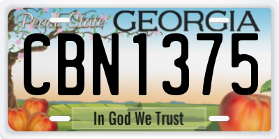 GA license plate CBN1375