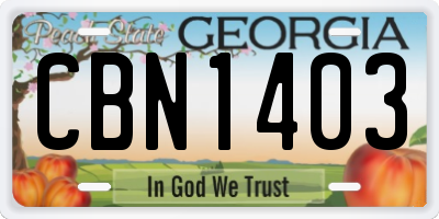 GA license plate CBN1403