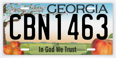 GA license plate CBN1463