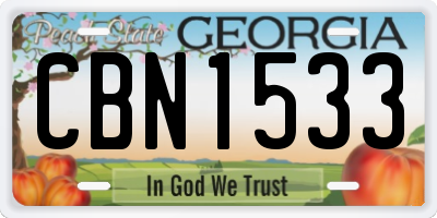 GA license plate CBN1533