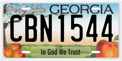 GA license plate CBN1544