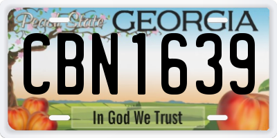 GA license plate CBN1639