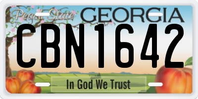 GA license plate CBN1642