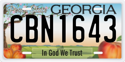 GA license plate CBN1643