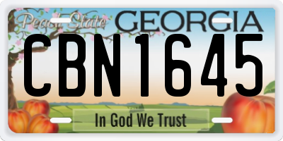 GA license plate CBN1645