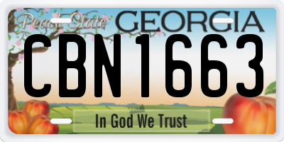 GA license plate CBN1663