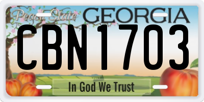 GA license plate CBN1703