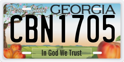 GA license plate CBN1705