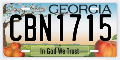 GA license plate CBN1715