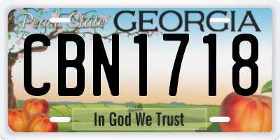 GA license plate CBN1718