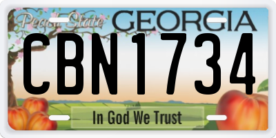 GA license plate CBN1734