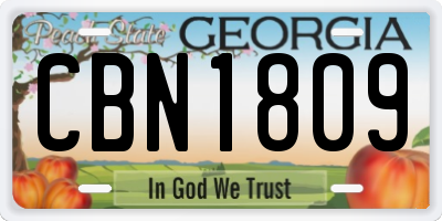 GA license plate CBN1809