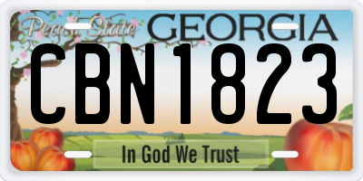 GA license plate CBN1823