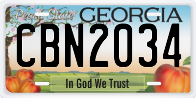 GA license plate CBN2034