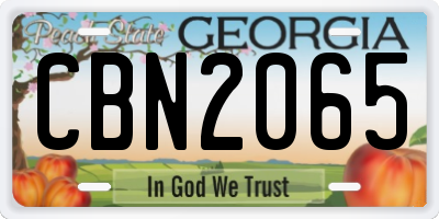 GA license plate CBN2065
