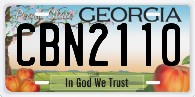 GA license plate CBN2110