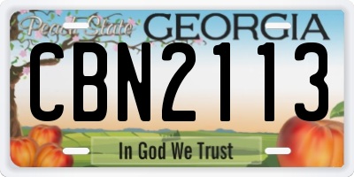 GA license plate CBN2113