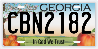 GA license plate CBN2182