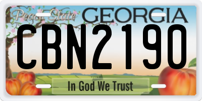 GA license plate CBN2190