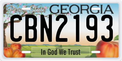 GA license plate CBN2193