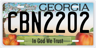 GA license plate CBN2202
