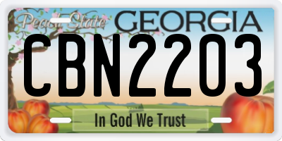 GA license plate CBN2203