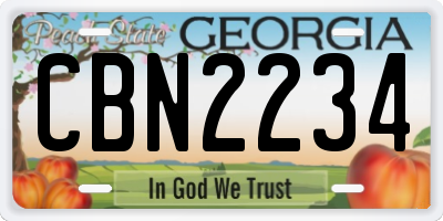 GA license plate CBN2234
