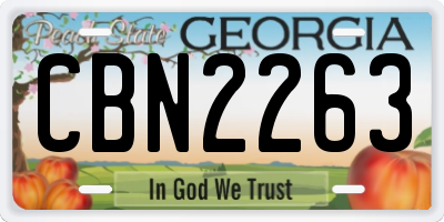 GA license plate CBN2263
