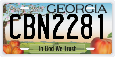 GA license plate CBN2281