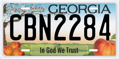GA license plate CBN2284