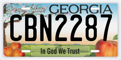 GA license plate CBN2287
