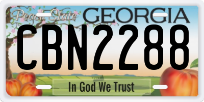 GA license plate CBN2288