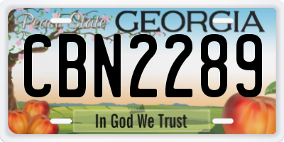 GA license plate CBN2289