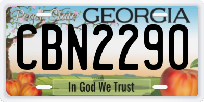 GA license plate CBN2290