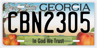 GA license plate CBN2305
