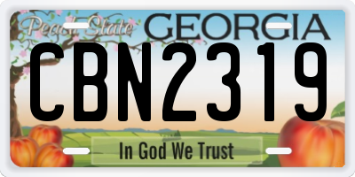 GA license plate CBN2319