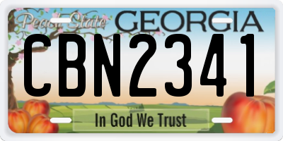 GA license plate CBN2341