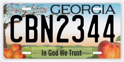 GA license plate CBN2344