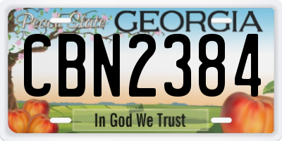 GA license plate CBN2384