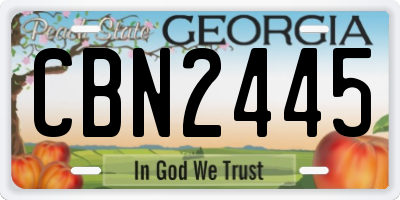 GA license plate CBN2445
