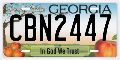 GA license plate CBN2447