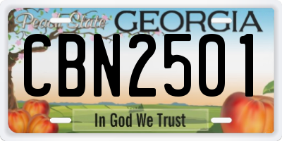 GA license plate CBN2501