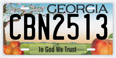 GA license plate CBN2513
