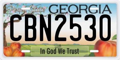 GA license plate CBN2530