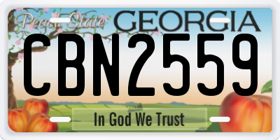 GA license plate CBN2559